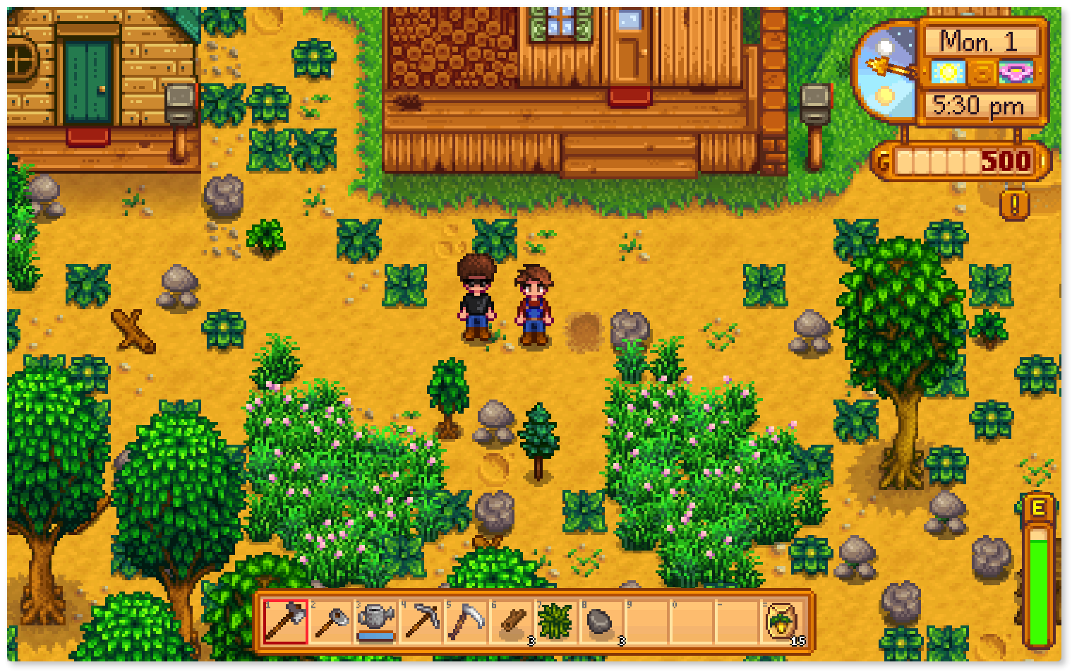 Stardew Valley farm with two players