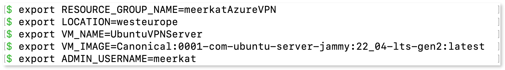 Creating environmental variables for the virtual machine in Terminal.